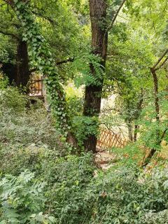 GITE BAS-EN-BASSET, HAUTE-LOIRE, MAISON et JARDIN ATYPIQUE PLEINE NATURE - 1