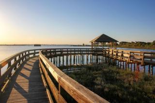 Comfy flat in Rosolina with shared pool - 9