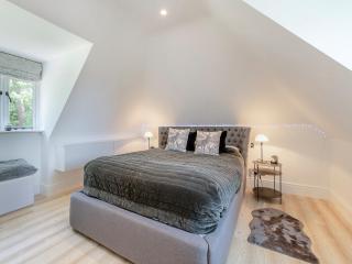 Fir Trees - Uk49994 - 2