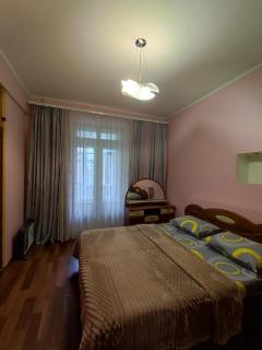 Spacious apartment at 18 Grigory Skovoroda Street - 6