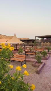 Desert Island Camp - 4