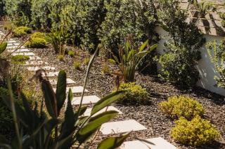 Family & Friends - 4