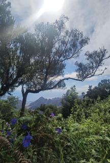 Casa Panorama Anaga - 7
