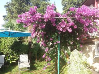 Lara - private parking and garden - 3