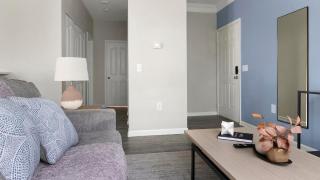 Landing Apartments Jacksonville - Windy Hill - 6