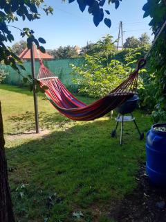 Nocleg pod dębem - 7