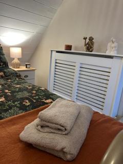 The Snug - 6
