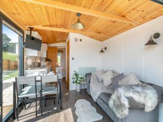 Barn Owl Lodge - Uk49903 - 7