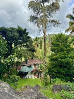 Thoppil Homestay Munnar - 9