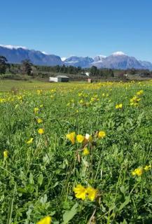 Tulbagh Tiny Homes - 6