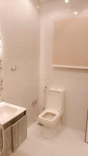 شقه فندقيه بفيلا الشيخ زايد أمام ذد بارك - 0