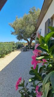Villa Concetta, piscine privée entre mer et montagne - Abruzzes - 4
