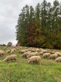 Gîtes les COMBES - 8
