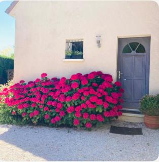 Leptitcosy appartement avec parking et jardin à 5 mn du centre historique de Bayeux - 9