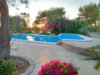 Al Marchello offline - 5