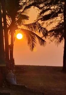 Johmena Serena Homestay - 5