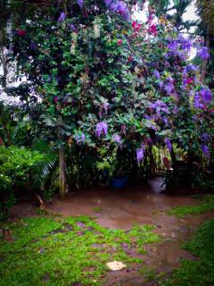 Evergreen Resort Ella - 5