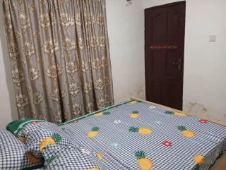 Entire 1 Bedroom flat in Lagos - 1