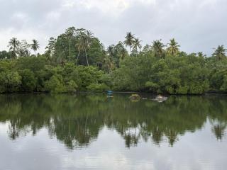 Natural Lake Down South - 3