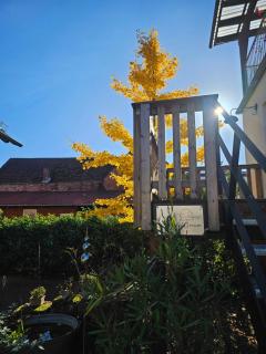 Großes neues Appartement Mein Burgwaldtraum - 9