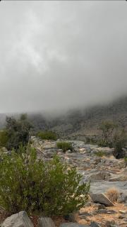 Jabal Hatt Resthouse - 1