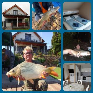 Aranyhal Vendégház-Ráckeve - 3