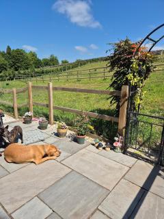 Luxury Peak District Stone Barn With Horses - Dog Friendly - Near Chatsworth, Bakewell, Alton Towers - 1