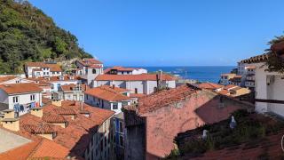 El Pixueto Amarillo - 7