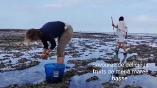 Spacieux apt avec terrasse proche plage - 4