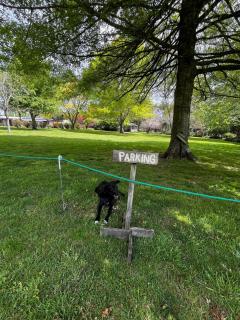 Tui Ridge Eco Cabins - 1