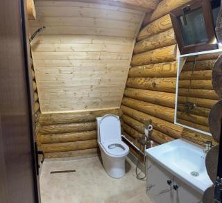 Borjomi-sadgeri comfort - 3