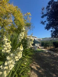 SERENITY 565 au Lac Des Rêves-camping 4 étoiles-mobil home 3ch-6pl-clim-sdb- wc séparé-au calme, belle vue sur le lac, sans vis à vis - 8