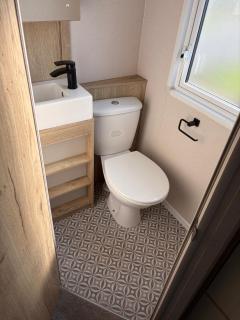 Driftwood dreams - 6