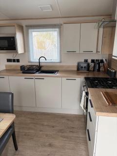 Driftwood dreams - 2