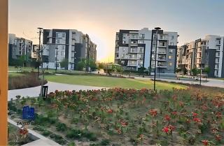 2Bedroom Apartment and Living Room at Shiekh Zayed - Sheikh Zayed - 3