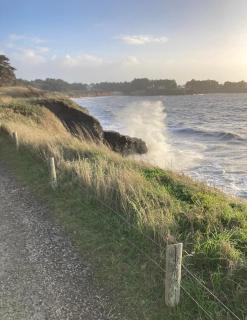 Divine Demeure Studio entier pour se ressourcer en bord de mer - 8