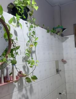 ලෝ LAW Leisure & Wellness Homestay Hostel - 1