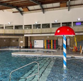 Driftwood dreams - 1