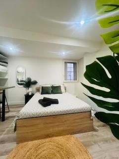 Studio Cosy dans le centre historique de Tournon sur Rhône - 7