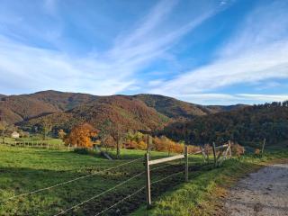 Ferienwohnung Großleiten Alm - 9