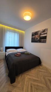 Apartament Jaguar - 5