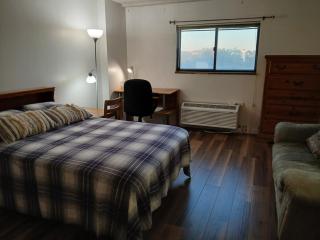 Right by OSU Stadium and Schottenstein Ctr - Walk to your game or concert, free guest parking - 7