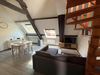 Magnifique appartement lumineux au cœur de Belfort - 4