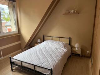 Magnifique appartement lumineux au cœur de Belfort - 2