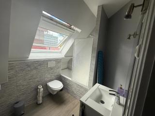 Magnifique appartement lumineux au cœur de Belfort - 1