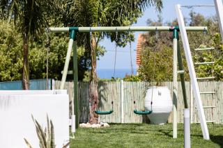 Coconut Palm Paradise - 2