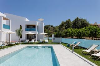 Coconut Palm Paradise - 1