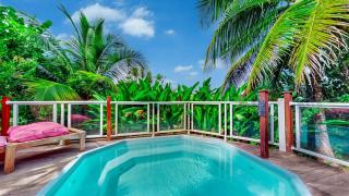 Kaz Bwa dinde vue mer dans jardin tropical - 5