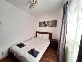 Urban Nest Victoriei - Central 1BR Apartment - 1