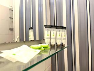 Urban Nest Victoriei close to Antipa Museum - 1